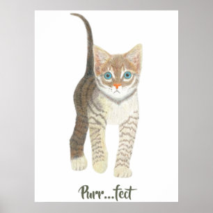Affiche Chaton tigré blanc
