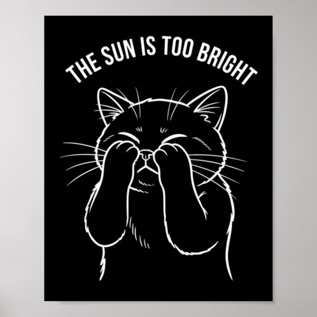 Affiche Chaton Trop Lumineux (Devant)