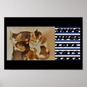 Affiche Chatons dans la photo de repos original