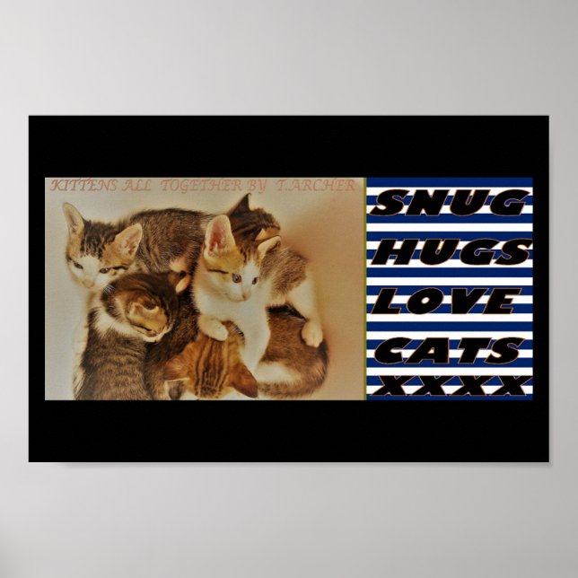 Affiche Chatons dans la photo de repos original (Devant)