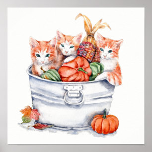 Affiche Chatons de récolte