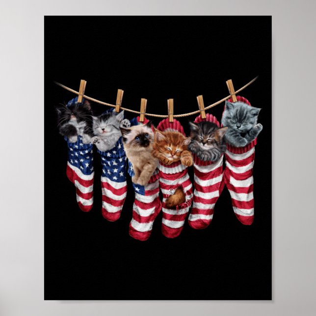 Affiche Chatons patriotiques dans des chaussettes de drape (Devant)