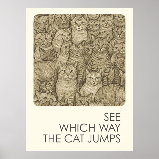 Affiche Chats bondés - proverbes (Devant)