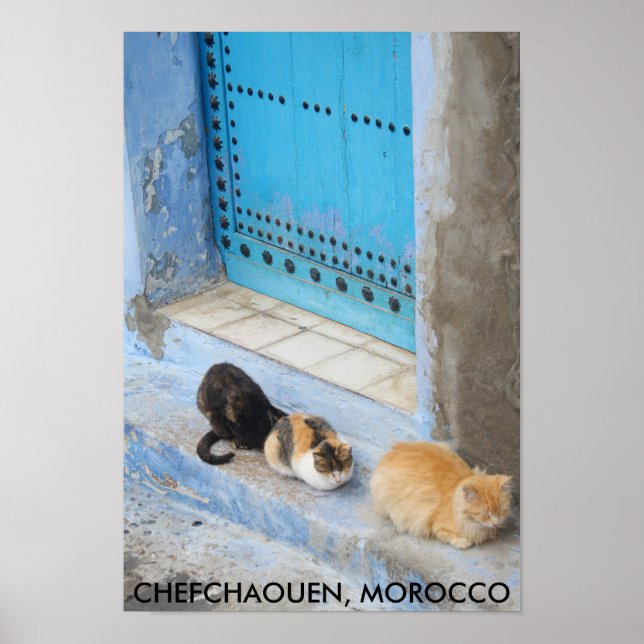 Affiche Chats, Chefchaouen, Maroc (Devant)