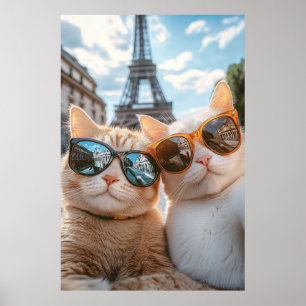 Affiche Chats cool à Paris