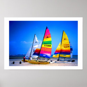 AFFICHE CHATS DE HOBIE AU JERSEY