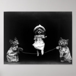 Affiche Chats De Jeu Avec Poupée Sautant Harry Libère
