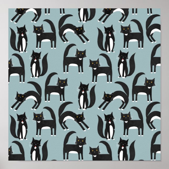 Affiche Chats de Tuxedo (Devant)