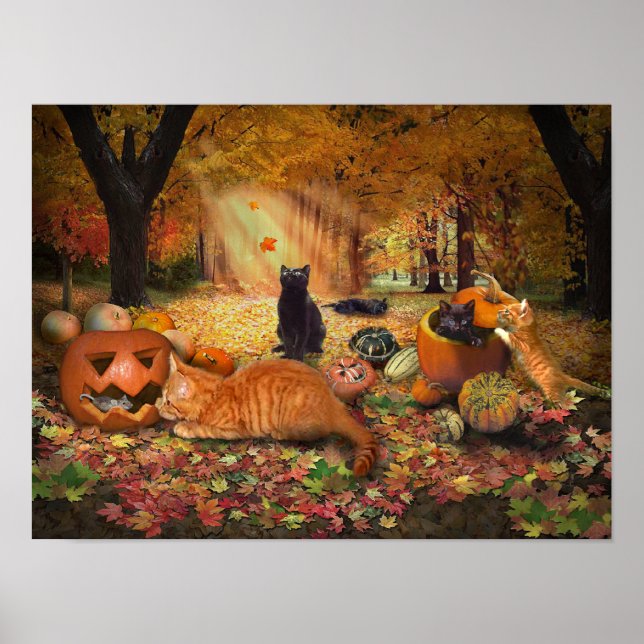 Affiche Chats en automne (Devant)