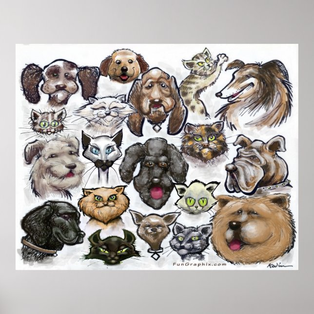 Affiche Chats et chiens (Devant)