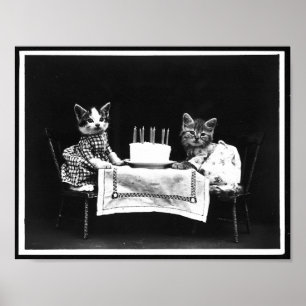 Affiche Chats et gâteau d'anniversaire Antique photo