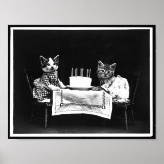 Affiche Chats et gâteau d'anniversaire Antique photo