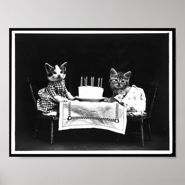 Affiche Chats et gâteau d'anniversaire Antique photo (Devant)