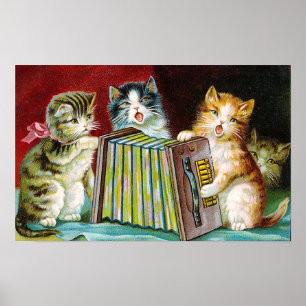 Affiche "Chats et une Squeezebox"