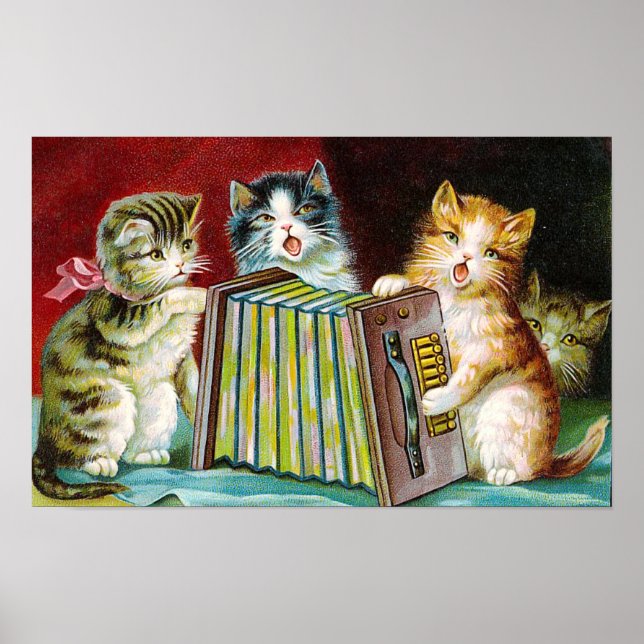 Affiche "Chats et une Squeezebox" (Devant)