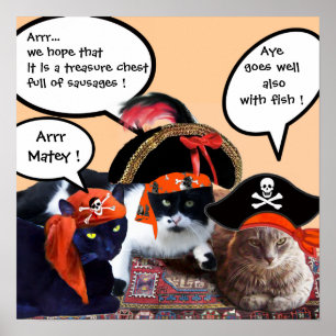 AFFICHE CHATS PIRATES