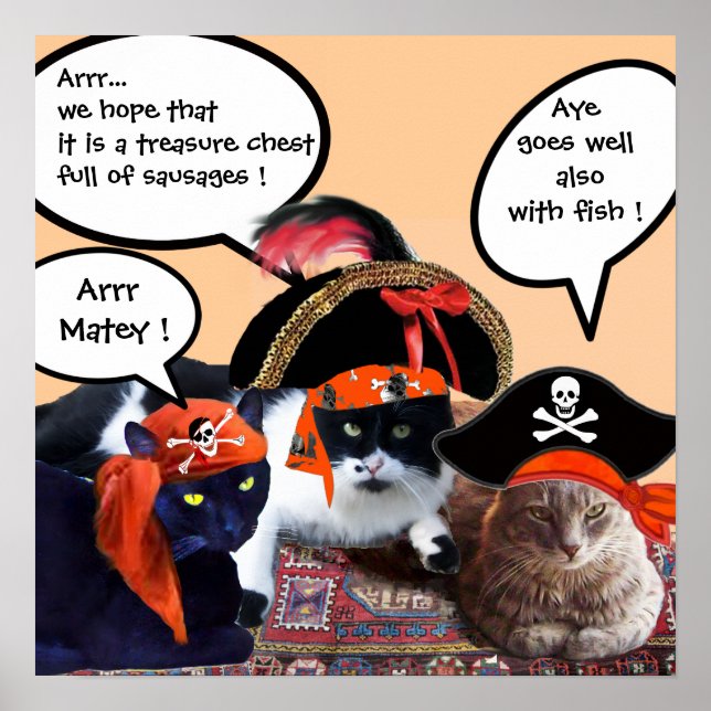 AFFICHE CHATS PIRATES (Devant)