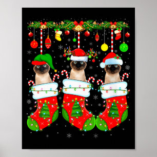 Affiche Chats siamois féminins en chaussettes de Noël Chat
