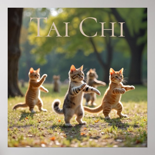 Affiche Chats Tai Chi (Devant)