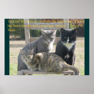 Affiche Chats uniques