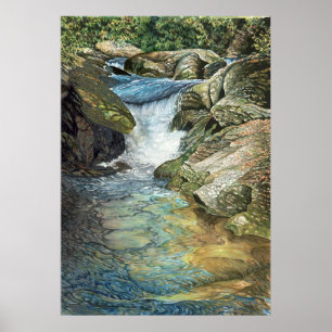 Affiche Chattooga River