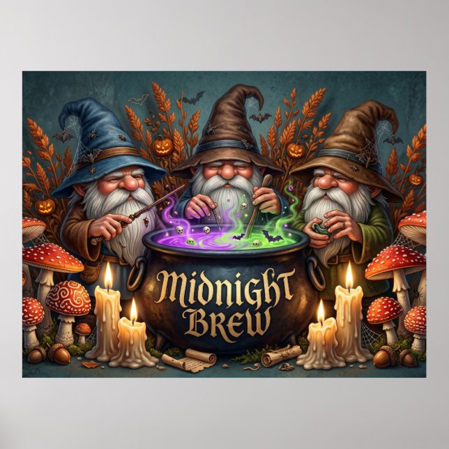 Affiche Chaudron de Brume de Minuit des Gnomes Sorciers d' (Devant)