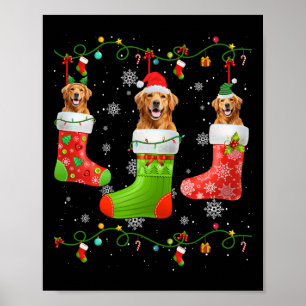 Affiche Chaussettes de Noël Golden Retriever Chien Lumière