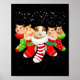 Affiche Chaussettes De Noël Hamster Drôle Cadeaux De Noël