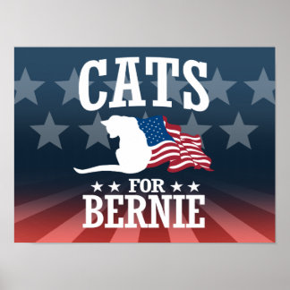 AFFICHE CHAUSSURES POUR BERNIE SANDERS