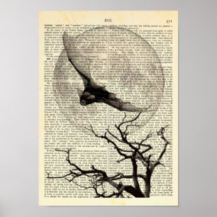 Affiche Chauve-souris, Pleine lune, Art Gothique Tradition