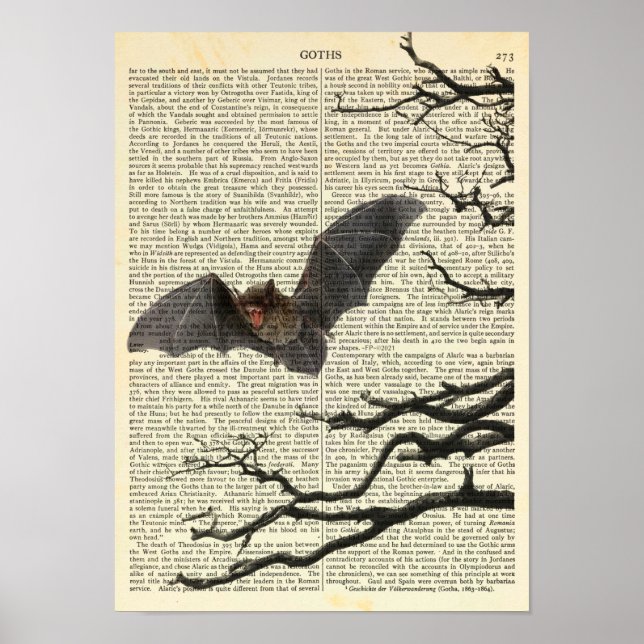 Affiche Chauve-vampire, Gothique, Dracula, Chauve-souris,  (Devant)