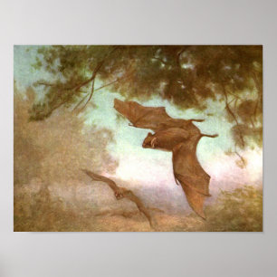 Affiche Chauves-souris Vampire par CE Swan, Animaux sauvag