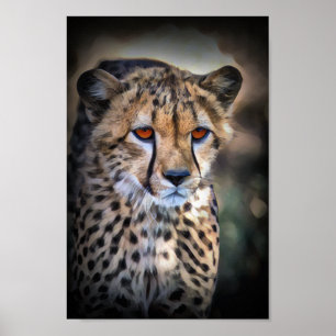 Affiche Cheetah