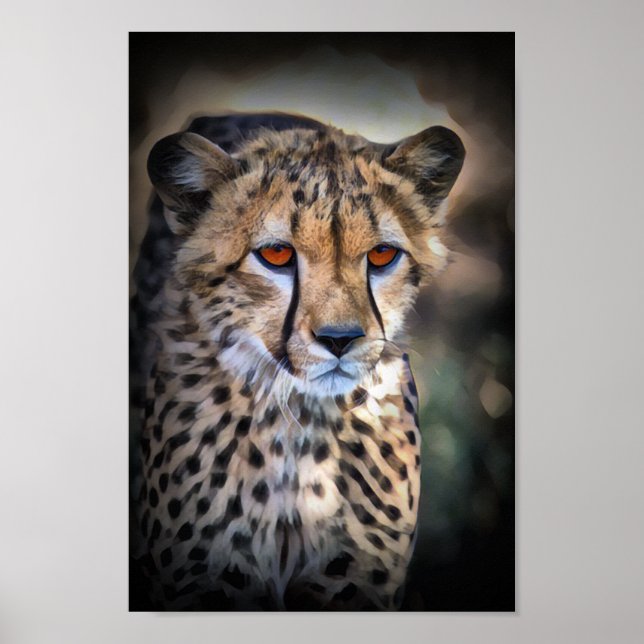 Affiche Cheetah (Devant)