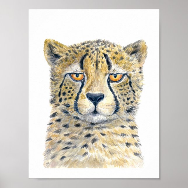 Affiche Cheetah (Devant)