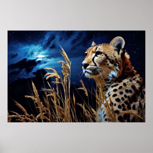 Affiche Cheetah Animal Faune Wilderness Art coloré (Devant)