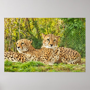 Affiche Cheetah Companions - Repos dans la nature"