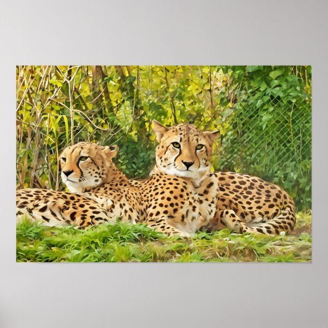 Affiche Cheetah Companions - Repos dans la nature" (Devant)
