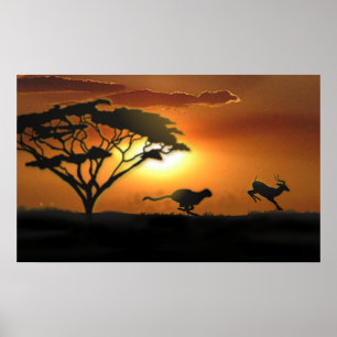 Affiche Cheetah et Gazelle