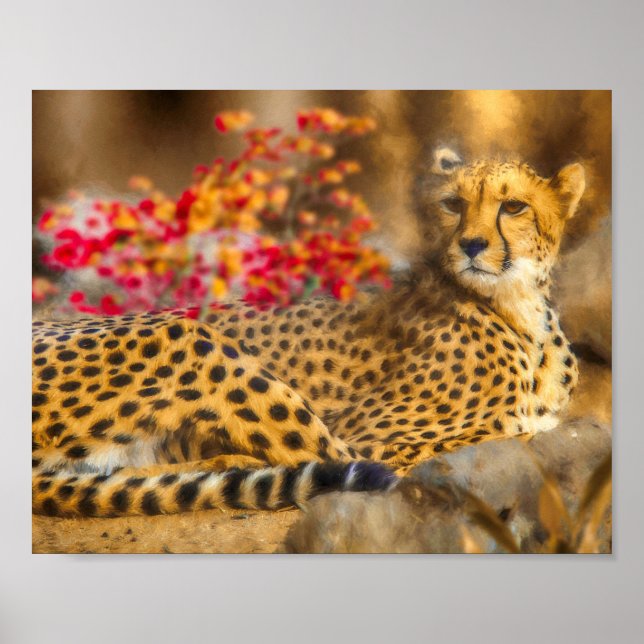 AFFICHE CHEETAH JUSTE CHILLIN (Devant)