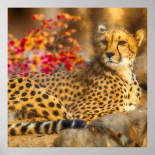 AFFICHE CHEETAH JUSTE CHILLIN