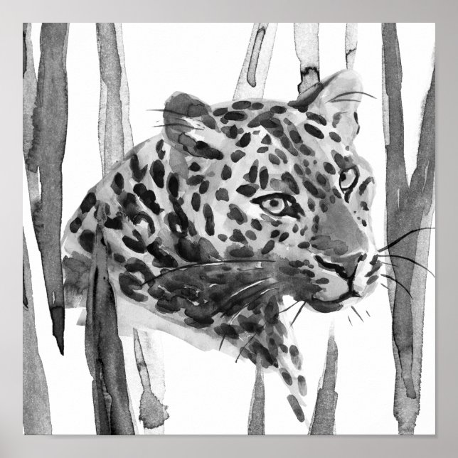 Affiche Cheetah Portrait (Devant)