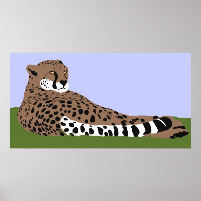 affiche cheetah regardant vers le bas (Devant)
