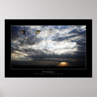 Affiche Cheetah Spirit