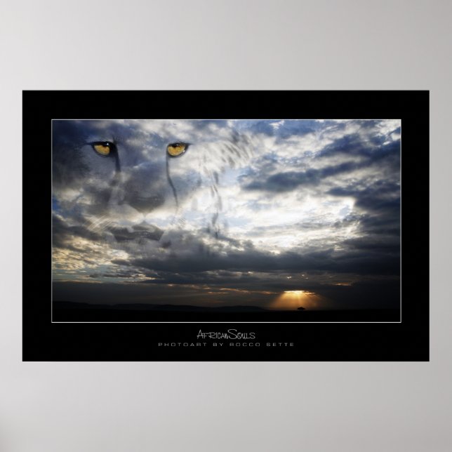 Affiche Cheetah Spirit (Devant)