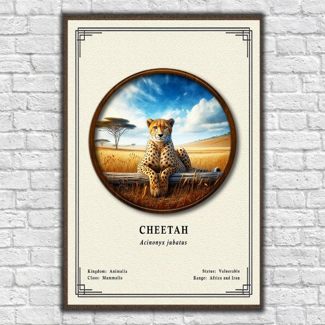 Affiche Cheetah Zoology Series (Créateur téléchargé)