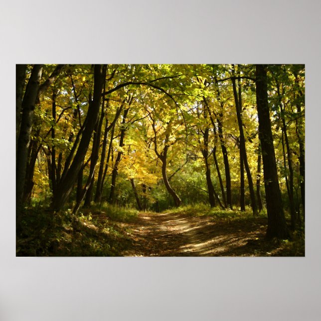 Affiche Chemin (Devant)