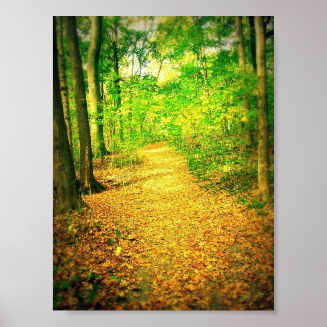 Affiche Chemin (Devant)