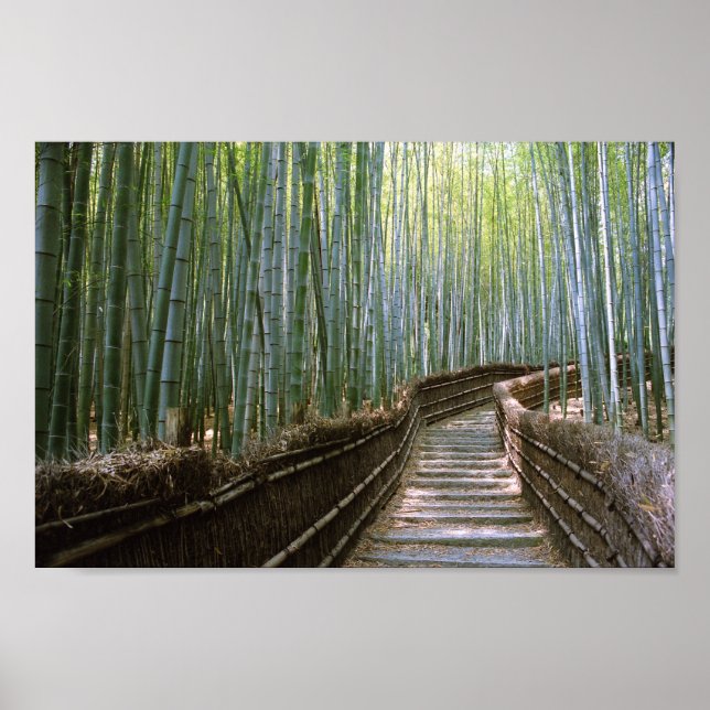Affiche Chemin à travers le Bamboo : Kyoto, Japon (Devant)