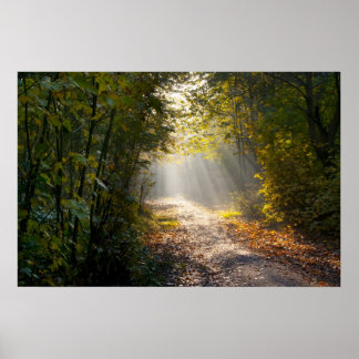 Affiche Chemin boisé d'automne avec rayons solaires